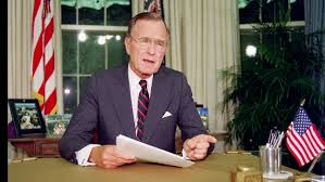 Image result for Bush