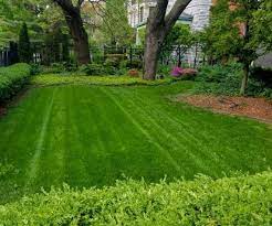 Perhaps you've asked yourself, where are lawn care services near me? Lawn Mowing Great Expectations Lawn And Landscape