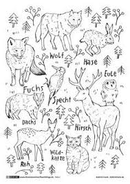 Waldtiere Waldtiere Malvorlagen Tiere Ausmalbilder