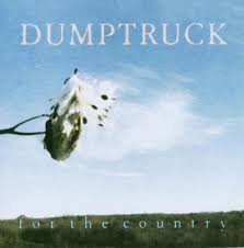 Image result for dischi country copertine