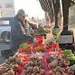 Burns Park Farmers Market event in La Crosse, WI