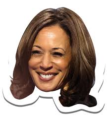 Kamala e Donald, storie a confronto