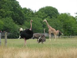 Check spelling or type a new query. Plan Your Visit Cape May County Nj Official Website