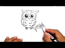 Contoh gambar sketsa hewan dari beragam jenis. Halaman Download Cara Menggambar Burung Hantu How To Draw Owl Youtube