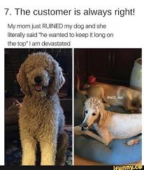 7 The Customer Is Always Right My Mom Just Ruined My Dog And She Iiterally Said He Wanted To Keep It Long On The Top I Am Devastated Ifunny