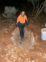 Tyler Mahoney Gold Rush Fan Group