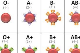• grupa ab ii are pe amîndoi. Grupa De Sange Archives Secretele Com