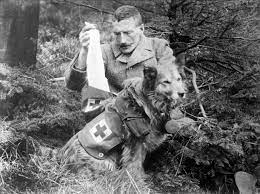 World War I In Photos Animals At War War Dogs Military Dogs World War I