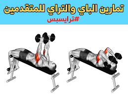 تمارين الباي والتراي بالصور arm workout super sets workout