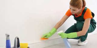 House Cleaning Phoenix Queen Of Maids