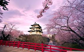 , cherry magic , it seems that you can be a witch if you are a virgin until 30 years old. Korea Spring Wallpapers Top Free Korea Spring Backgrounds Wallpaperaccess