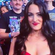 Bill Simmons Addresses Viral WWE Raw Moment with Nikki Bella