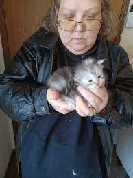 Can't wait to pick my baby boy up need name suggestions he is 4 months old  ❤️