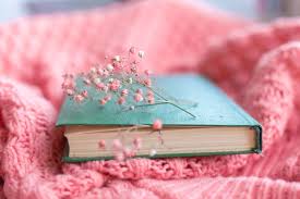 How to give dried flowers shape. Free Photo Green Book With Dry Flowers On A Pink Warm Knitted Sweater