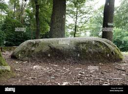 Graefhainichen, Germany. 15th Aug, 2016. View of a 'Lutherstein' (lit. 'Luther  stone'), a boulder near Graefhainichen, Germany, 15 August 2016. According  to the records, reformer Martin Luther (1483-1546) had rested and spoken
