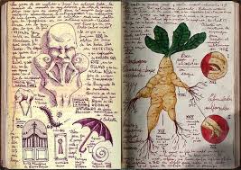 Bienvenue Sur Myboox Le Blog Idees Sketchbook Carnets De Croquis Carnet De Croquis