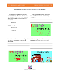 Tell whether esch structure is common to all prokaryotes. Amoeba Sisters Video Recap Prokaryotes And Eukaryotes