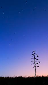You must be at least 18 years old to be eligible to trade in for credit or for an apple gift card. Sky Wallpaper Itunes Size Tap And Get The Free App Shining Nature Sky Green Grass Siswa Kreatif