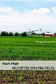 Why is there a helicopter spraying fields- Should you be worried?