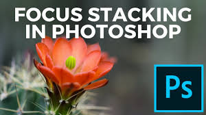 With only one click you can apply the same edits to all the images saving you the time and. How To Do Focus Stacking In Photoshop Photoshop Tutorial Youtube
