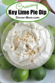 Make Creamy Key Lime Pie Dip Using Cool Whip Then Sit By The Pool And Dip Fruit And Graham Sweet Treats Desserts Creamy Key Lime Pie Low Carb Recipes Dessert