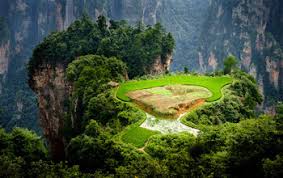 Many professionals and profes­ sional societies involved in food protection share concerns about the limitations and cumbersome. Nsf Awards 36 6 Million In New Food Energy Water System Grants Nsf National Science Foundation