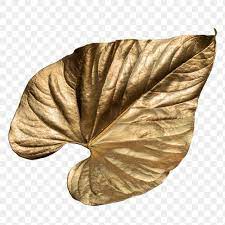 Closeup Of Gold Leaf Design Element Free Image By Rawpixel Com Adj Design Element Leaf Design Free Illustrations