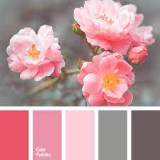 Check spelling or type a new query. Pink And Gray Color Palette Ideas
