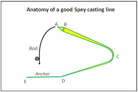 D Loop Spey Casting Anatomy Of A Good Spey Casting Line