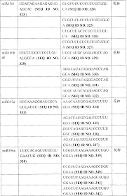 CN101466837A - 生产杂种种子的方法- Google Patents