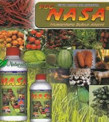 Hasil gambar untuk pupuk cair nasa