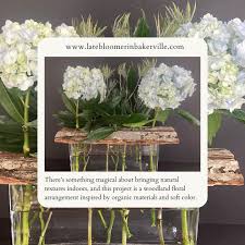 Laura Douaihy (@latebloomerinbakerville) • Instagram photos ...