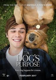 Netflix supports the digital advertising alliance principles. A Dog S Purpose 2017 Online Subtitrat In Romana Hd Filme Online 2020 Subtitrate In RomanÄ Filme 2018 Noi Gratis