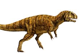 Image result for Hypuronector