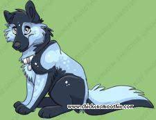Cs Archive Pets Anime Cool Websites