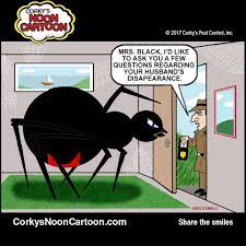 Where do black widow spiders live? What Dream About Black Spider Means