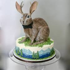 [Image: images?q=tbn:ANd9GcRytR0hR7tj9jyTQrTsTXC...JFLO7C-A&s]