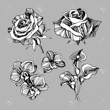 Plant these perennials in the spring so their roots. Color Set Collection Drawings Sketches Beautiful Flowers Royalty Free Cliparts Vectors And Stock Illustration Image 75236674