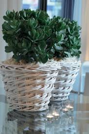 Epingle Sur Mlm Et Feng Shui