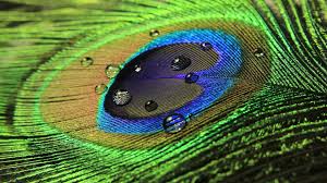 Download Hd 1080p Water Drop Computer Wallpaper Id 430330 For Free