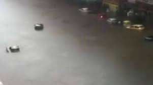 Cade un albero sulle tombe. Nubifragio Roma Nel Caos Morto 32enne Foto Video Positanonews