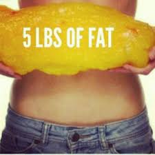 1 Pound Of Fat Vs Muscle Pictures Facts Diet Database