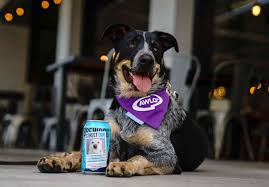 This Beer Helps Dogs Find Their Forever Home