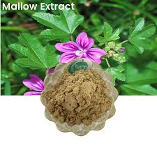Image result for Malva verticillata