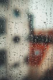 Check spelling or type a new query. 10 000 Best Rain Photos 100 Free Download Pexels Stock Photos