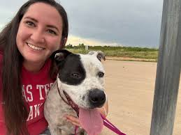 What breed does my doggo resemble?