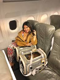 Huge sale on dog travel airplane now on. Flying With Cats On An Airplane Cabin Useful Tips For Safe Relaxing Air Travel Experience With Your Pets