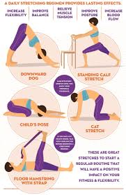 By Incorporating A Stretching Program Into Your Daily Routine You Can Increase Your Flexibility And Range Of Mot Stretching Program Cat Stretching Get Healthy