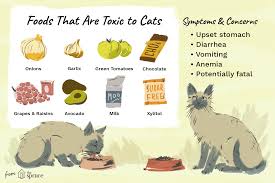Those two contain sulfur compounds that are harmful to cats. The Human Foods That Are Poisonous For Cats