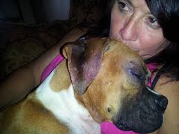 Remembering last days with pet